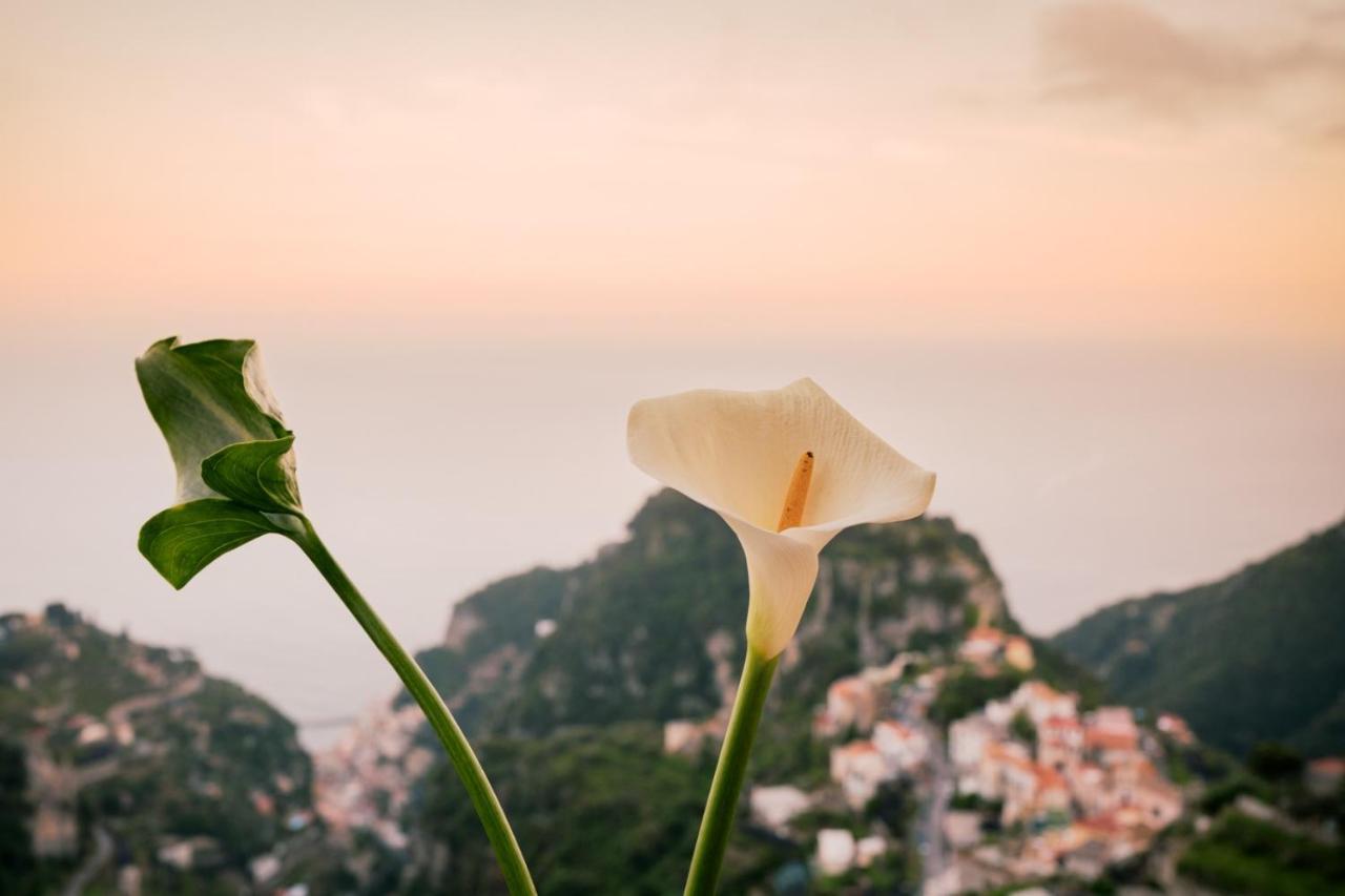 Casa Bellavista Scala Minuta Amalfi Coast Daire Dış mekan fotoğraf
